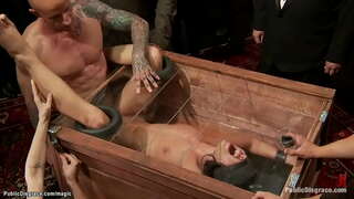 ���রুণ, শ্যামাঙ্গিণী, ক্রীতদাস, আদ্রিয়ানা Chechik হয়, মোড়ানো এবং boxed, তারপর বড় মোরগ দ্বারা fucked নাক্ষত্রিক ধূলিকণা নিয়ন্ত্রণে এর dom রাজকুমারী Donna Dolore জন