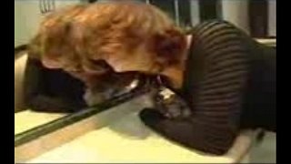 Masturbation agus asal fucked