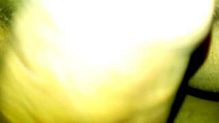 Жонка шлюха