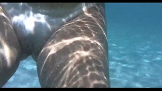 ���ોટ ચિક અંદર d, આ પાણી પર પોર્ટો દા barra સાલ્વાડોર bahia