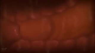 Обладая сармоягузорӣ бачадон