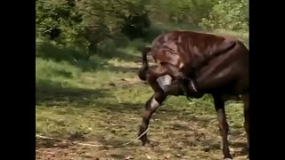 Tunde तिघांनी करायचा